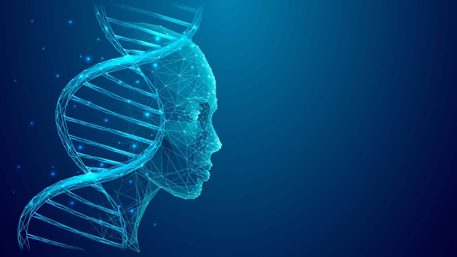 blog-pano-helix-human-face